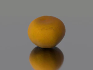 lemon low poly 3D Model