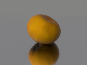 lemon low poly 3D Model