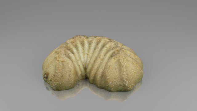 tea cake 3D Model .c4d .max .obj .3ds .fbx .stl .blend 