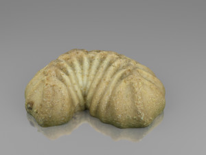 tea cake 3D Model