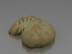 tea cake 3D Model