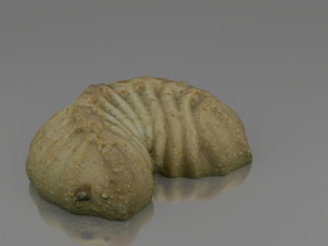 tea cake 3D Model