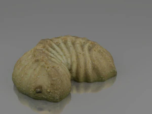 tea cake 3D Model