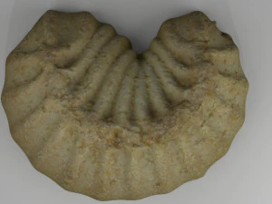 tea cake 3D Model