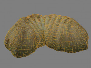 tea cake 3D Model