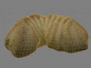 tea cake 3D Model