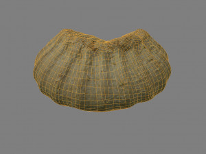 tea cake 3D Model
