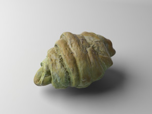 croissant low poly 3D 模型