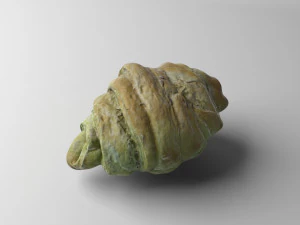 croissant low poly 3D Model