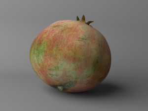 pomegranate low poly 3D-Modell