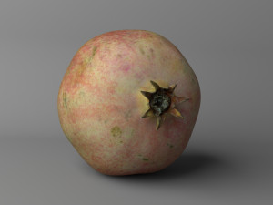 pomegranate low poly 3D-Modell
