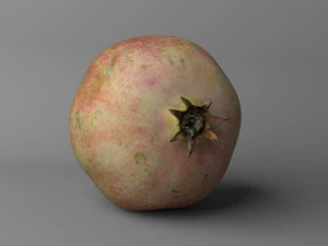pomegranate low poly 3D Model