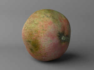 pomegranate low poly 3D-Modell