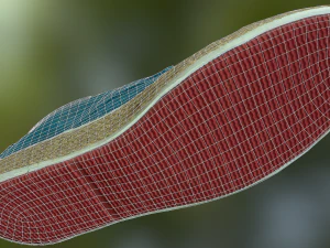 par de sapatos Modelo 3D