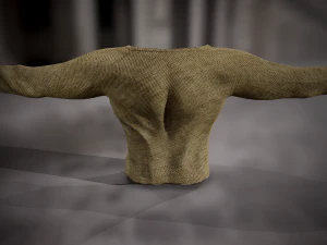 sweatshirt 3 3D Model