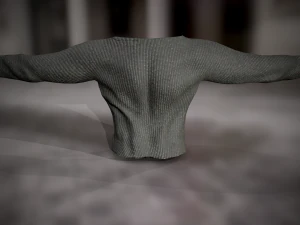 sweatshirt 9 3D Model