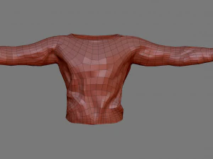 sweatshirt 15 3D Model