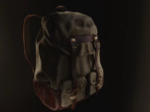 backpack 2 3D Model