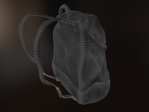 backpack 2 3D 模型