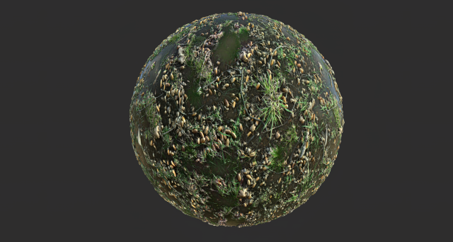 forest ground with water pbr texture CG Texturen .c4d .max .obj .3ds .fbx .stl .blend 