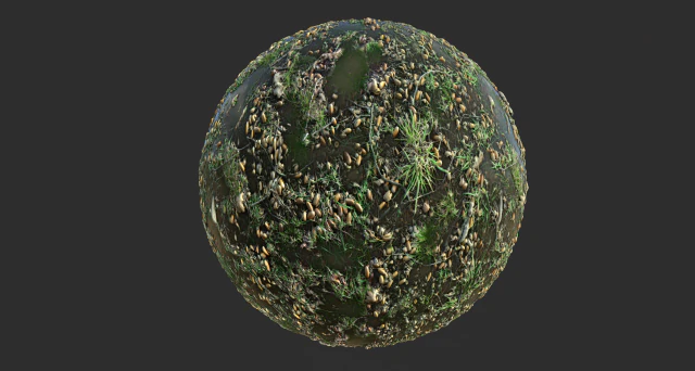 forest ground with water pbr texture CG Textures .c4d .max .obj .3ds .fbx .stl .blend 