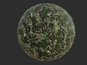 forest ground with water pbr texture CG Textures