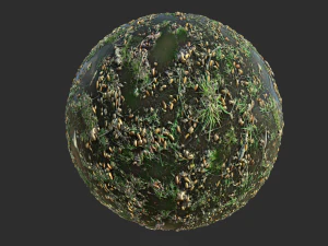 Waldboden mit Wasser-PBR-Textur CG Texturen