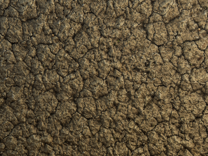 dry ground pbr texture CG Textures