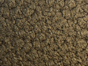 dry ground pbr texture CG Textures