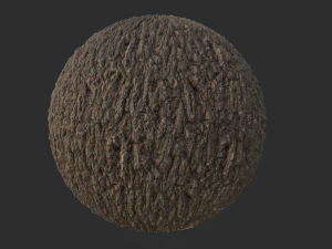 tree bark 001 pbr material texture CG Texturen