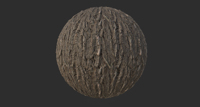 tree bark 002 pbr material texture CG Textures .c4d .max .obj .3ds .fbx .stl .blend 