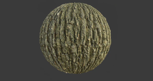 tree bark 005 pbr material texture CG Textures .c4d .max .obj .3ds .fbx .stl .blend 