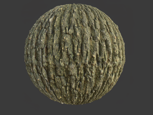 tree bark 005 pbr material texture CG Textures