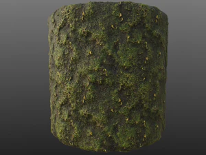 yosun pbr malzeme dokusu CG Dokuları