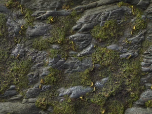 mossy cliff rock 001 pbr material texture CG Textures