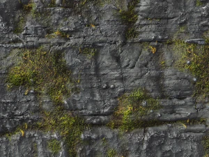 mossy cliff rock 002 pbr material texture CG Textures