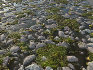 mossy river stones 002 pbr material texture Texturas CG