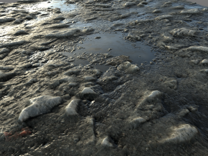 mud with stones ground 001 pbr material texture CG 纹理