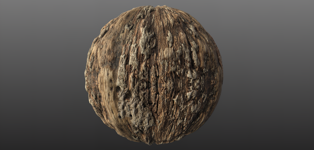 tree bark 006 pbr material texture CG Textures .c4d .max .obj .3ds .fbx .stl .blend 