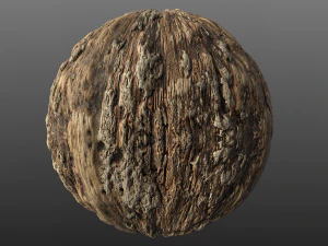 木の樹皮006 pbr素材のテクスチャー CG テクスチャ