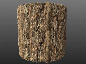 tree bark 006 pbr material texture CG Textures