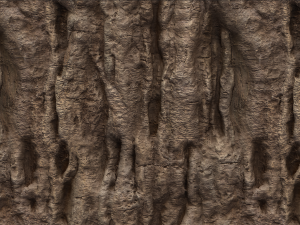 tree bark 007 pbr material texture Tekstur CG