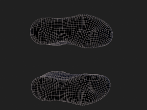 pair of sneakers 3D Model