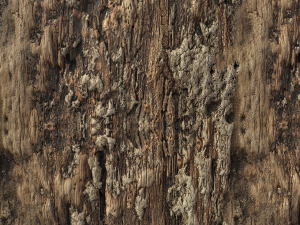 tree bark materials texture CG テクスチャ