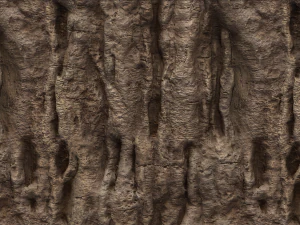 tree bark materials texture CG Textures