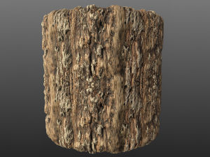 tree bark materials texture CG テクスチャ