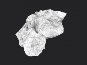 rock 6-1 3D Model
