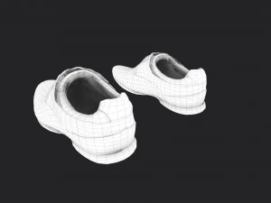pair of shoes 3D Model