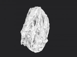 rock 7-4 3D Model
