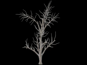 broadleaf 001 3D Model